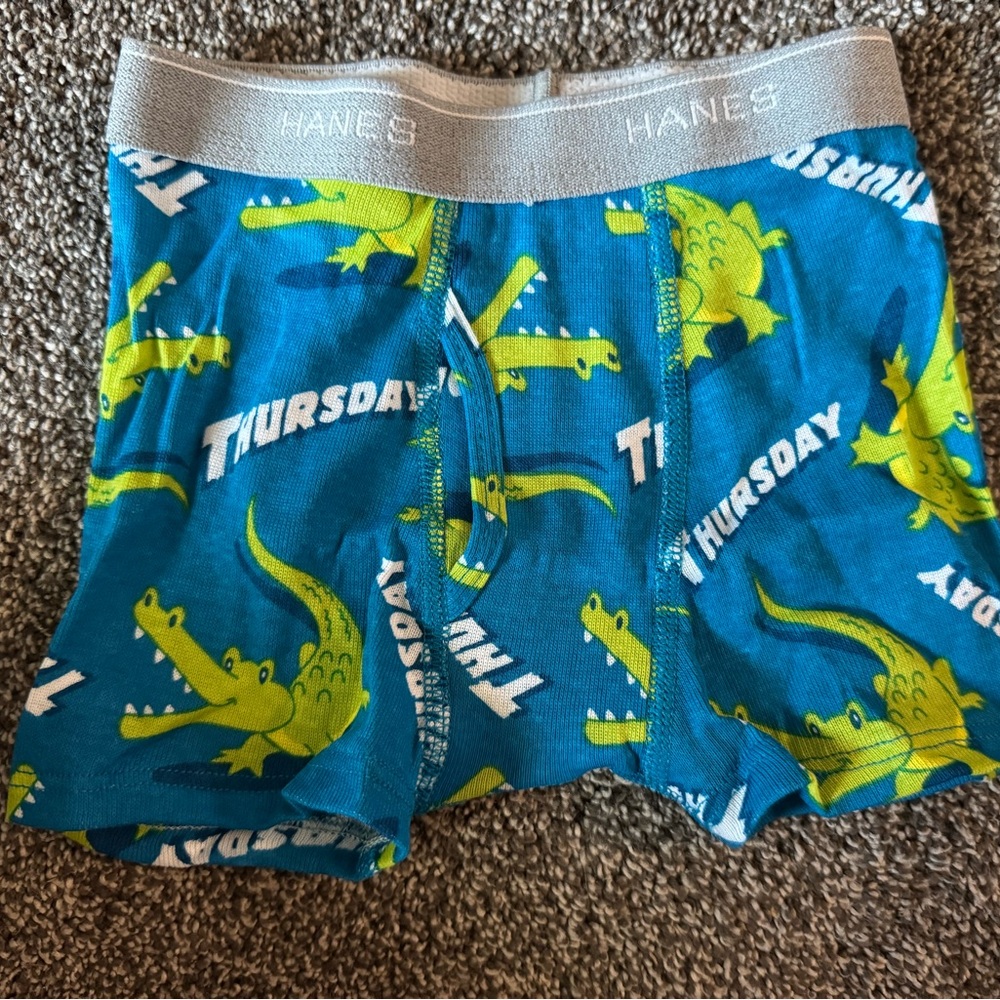Hanes Boys' Underwear Set - Days of the Week Animal Theme NWOT - Picture 9 of 12
